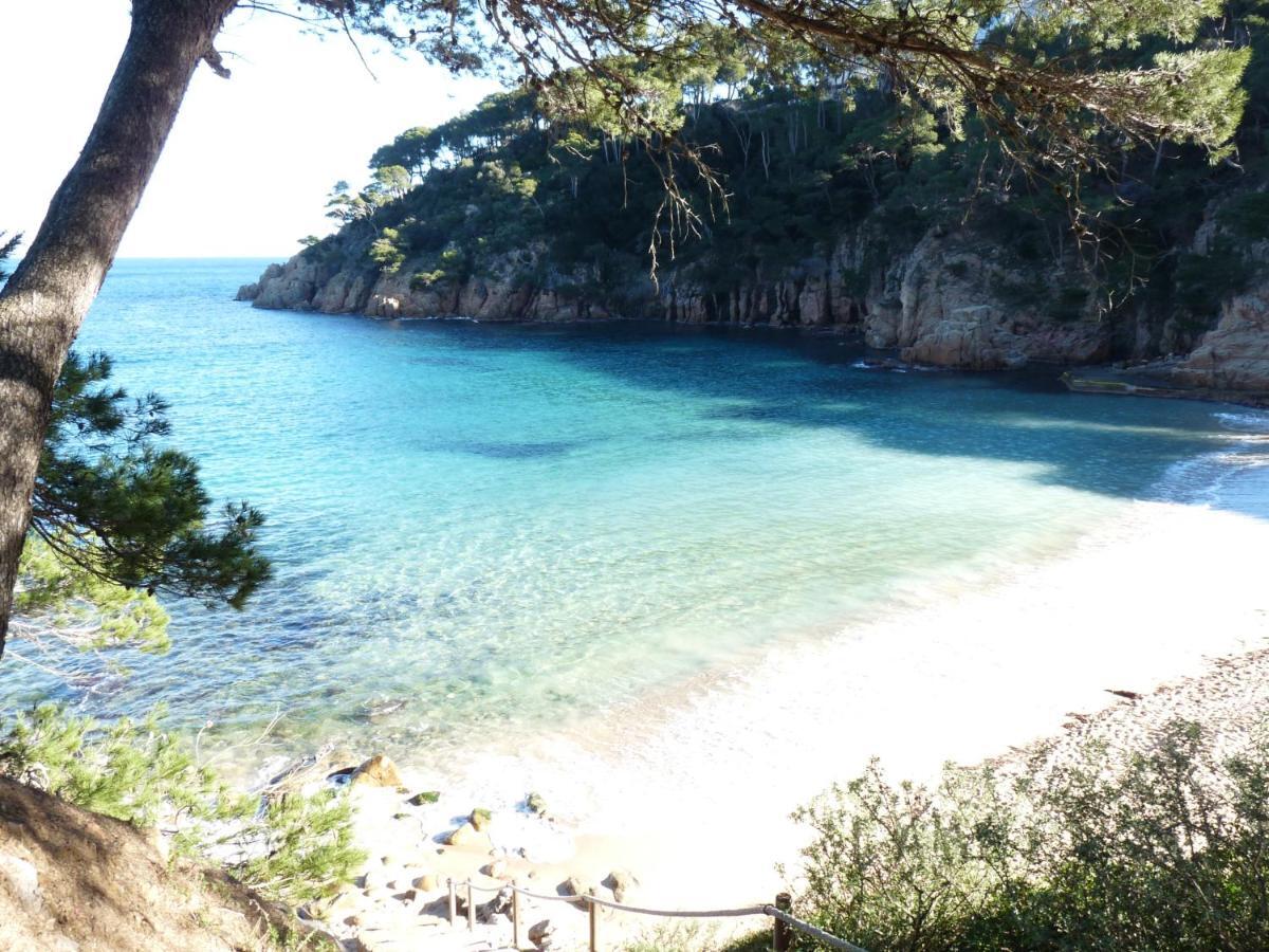 Le Balcon De La Mer-Piscine-Wifi-Pkg Begur Eksteriør bilde