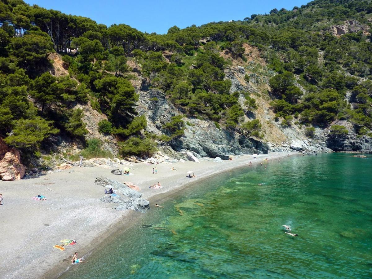 Le Balcon De La Mer-Piscine-Wifi-Pkg Begur Eksteriør bilde